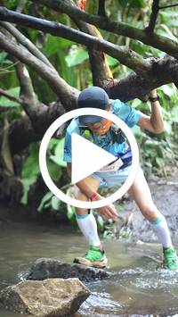 BIB:  <button type="button" onclick="openModal(27824398)" class="btn btn-primary btn-sm float-right" data-toggle="modal" data-target=".modal-high-quality">
                <i class="fa fa-download"></i> Download
                </button>